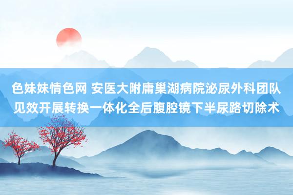 色妹妹情色网 安医大附庸巢湖病院泌尿外科团队见效开展转换一体化全后腹腔镜下半尿路切除术