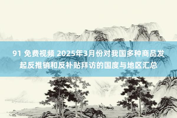 91 免费视频 2025年3月份对我国多种商品发起反推销和反补贴拜访的国度与地区汇总