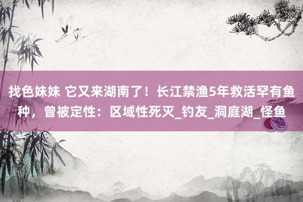 找色妹妹 它又来湖南了！长江禁渔5年救活罕有鱼种，曾被定性：区域性死灭_钓友_洞庭湖_怪鱼