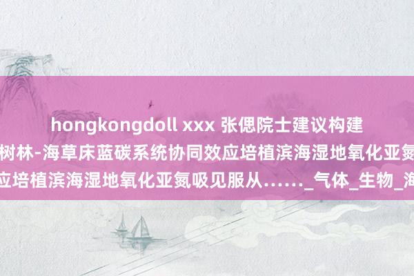 hongkongdoll xxx 张偲院士建议构建“海上防火墙”策略!欺诈红树林-海草床蓝碳系统协同效应培植滨海湿地氧化亚氮吸见服从……_气体_生物_海洋