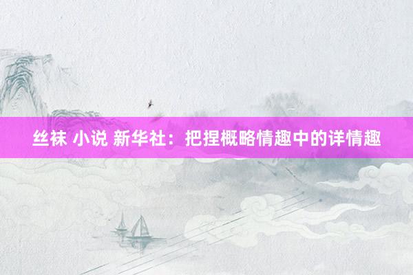 丝袜 小说 新华社：把捏概略情趣中的详情趣