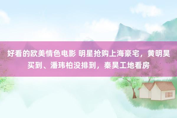 好看的欧美情色电影 明星抢购上海豪宅，黄明昊买到、潘玮柏没排到，秦昊工地看房